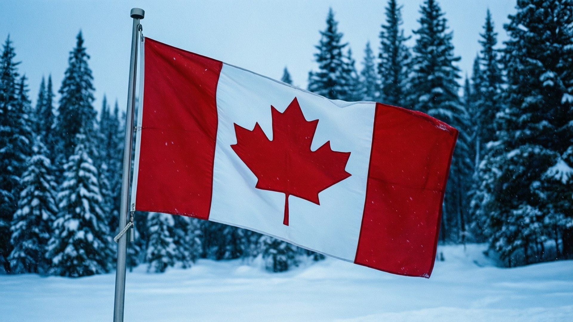 Canadian flag in snowy winter scene