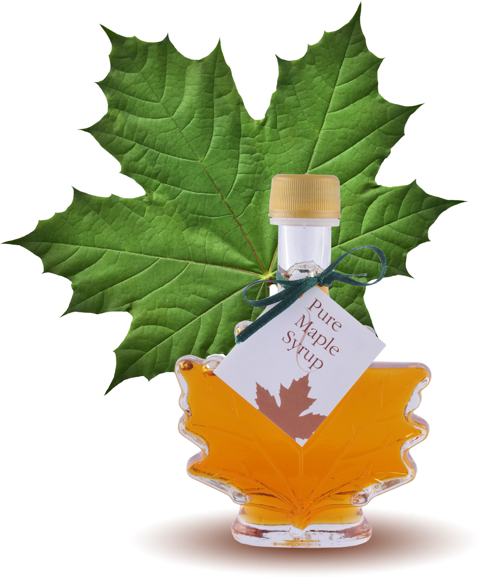 Maple Syrup Bottle Green Leaf PNG