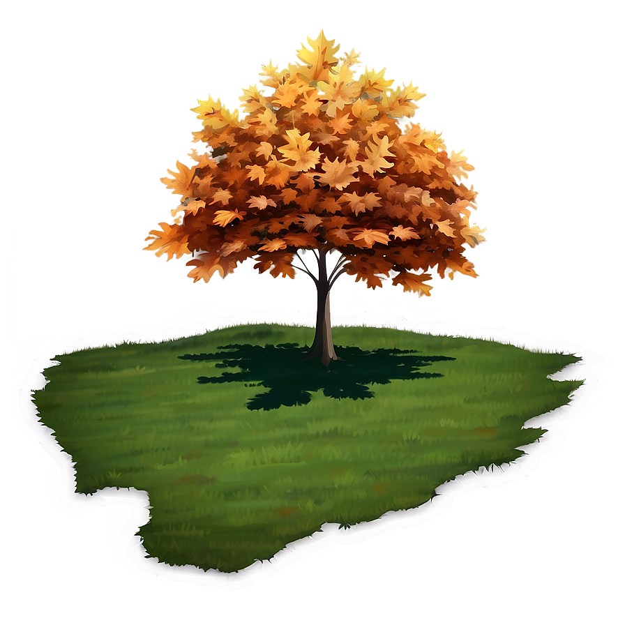 Maple Tree Shadow On Ground Png 3 PNG