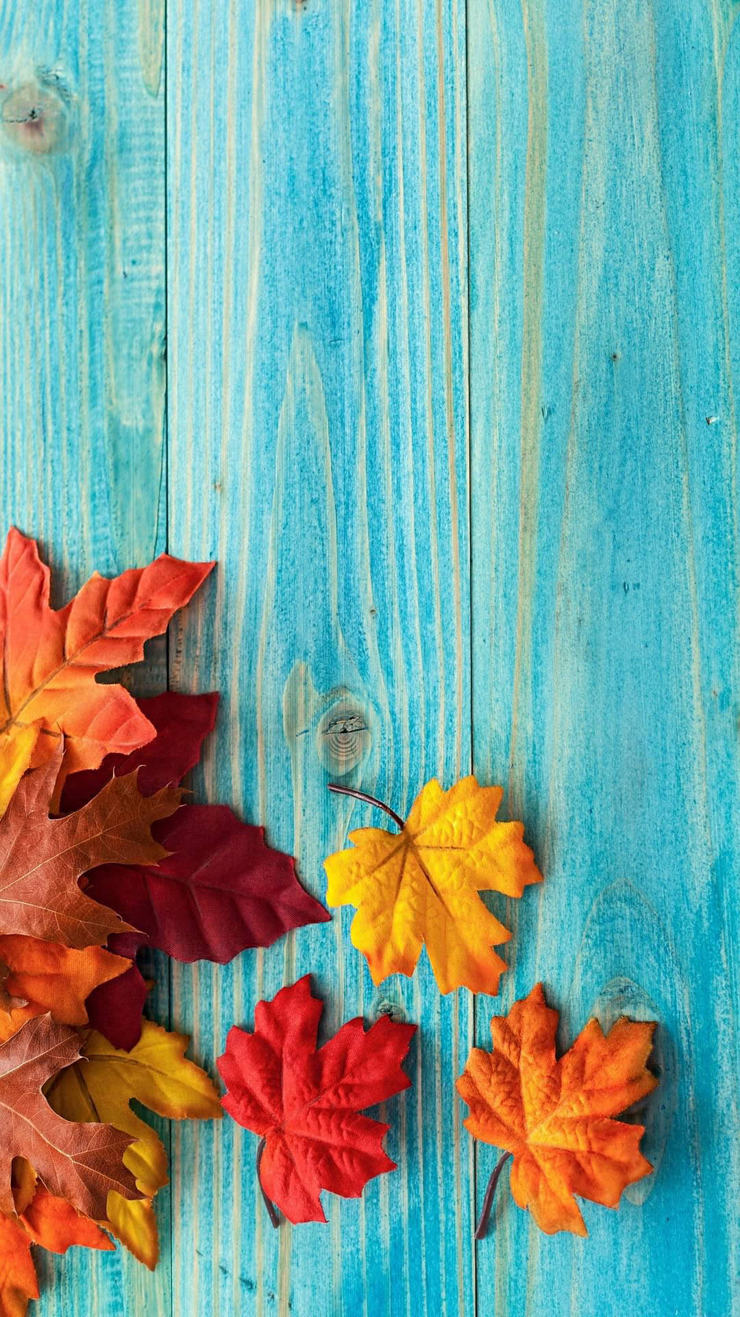 Maples Leaves On Blue Wood Wallpaper