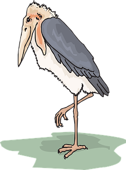 Marabou Stork Illustration PNG