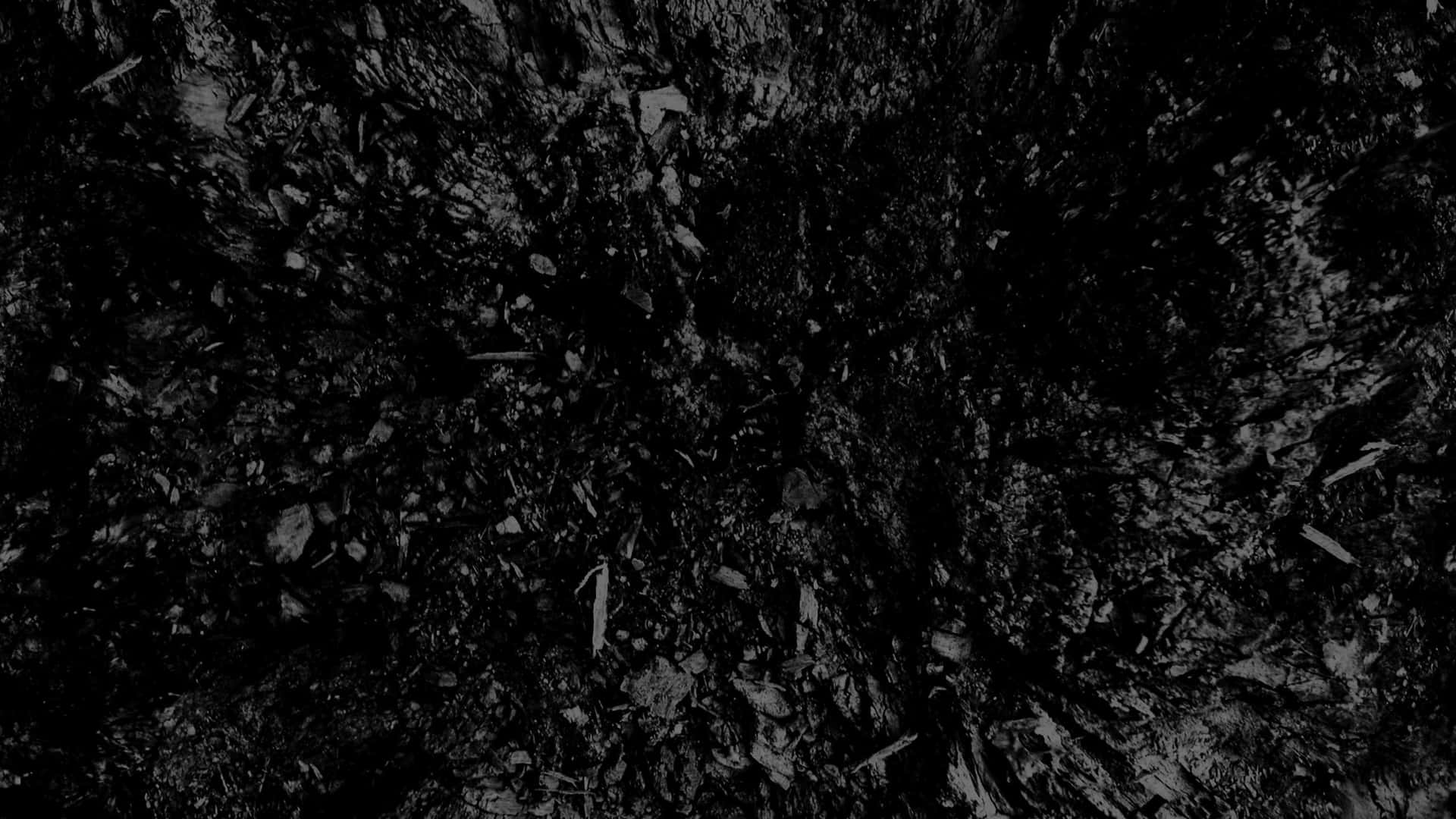 Un'immaginein Bianco E Nero Di Un Tronco D'albero Sfondo