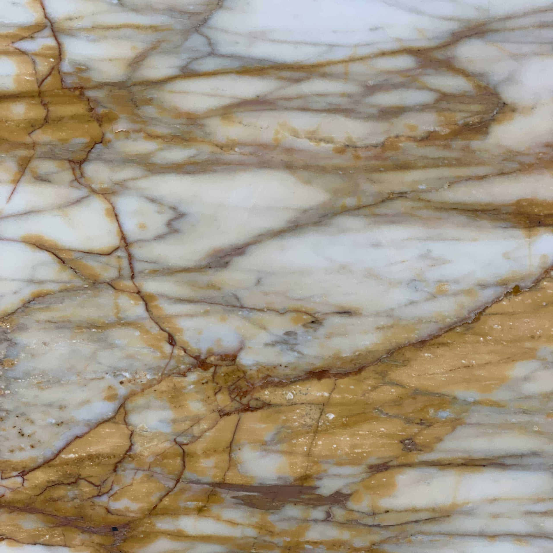 Marble Pictures