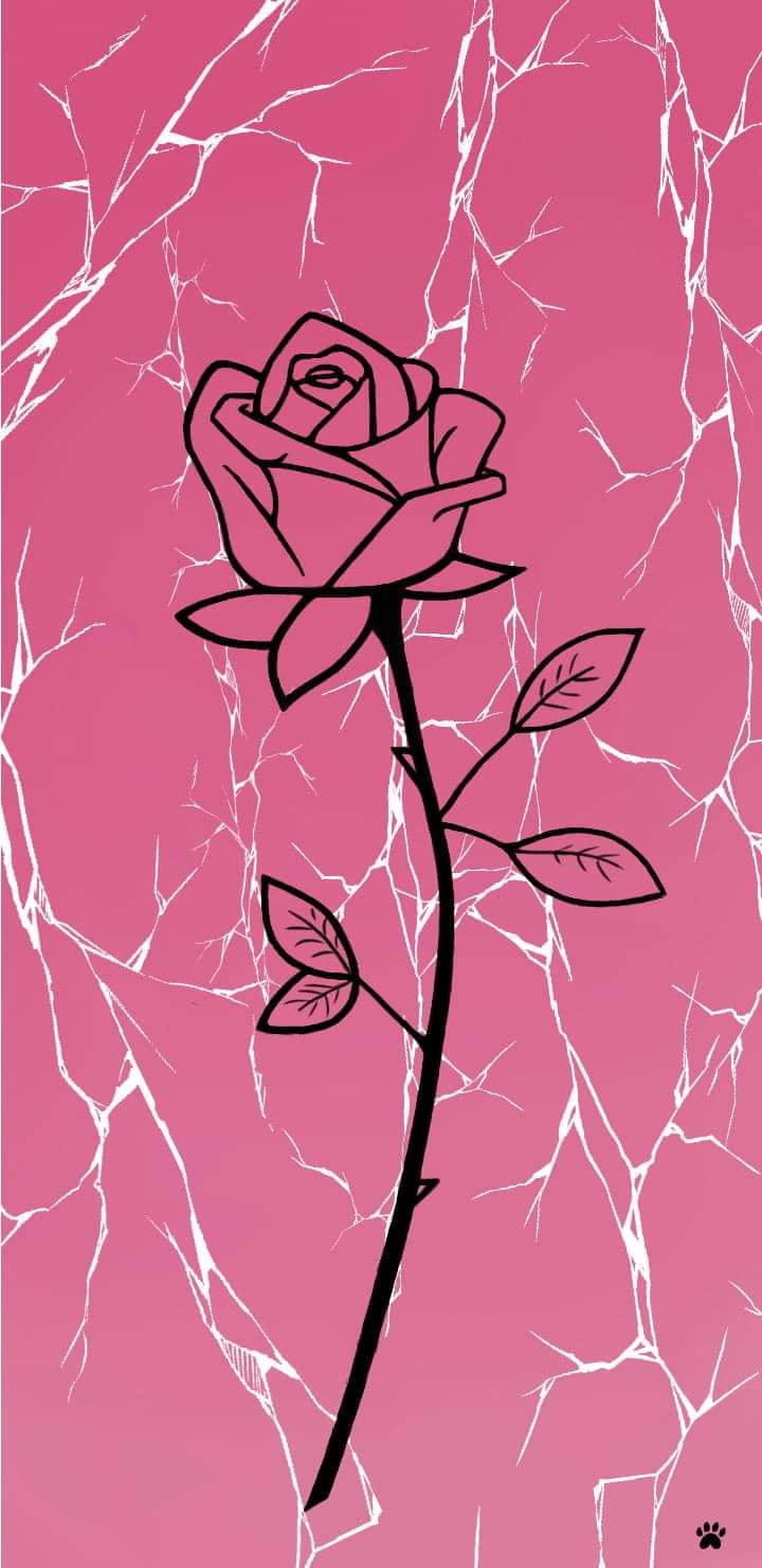 Marble Pink Rose Drawing On Cracked Surface