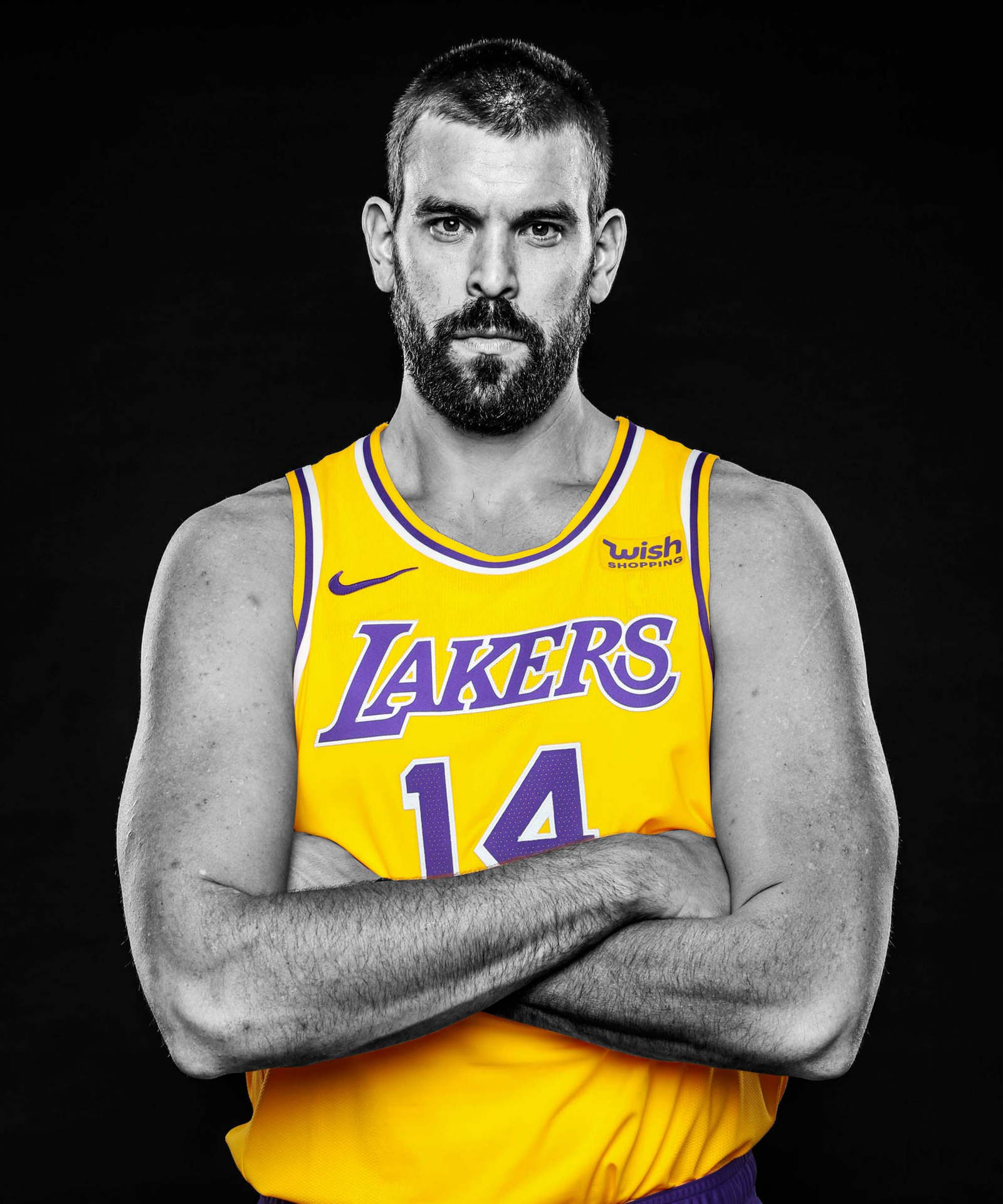 marc gasol lakers jersey