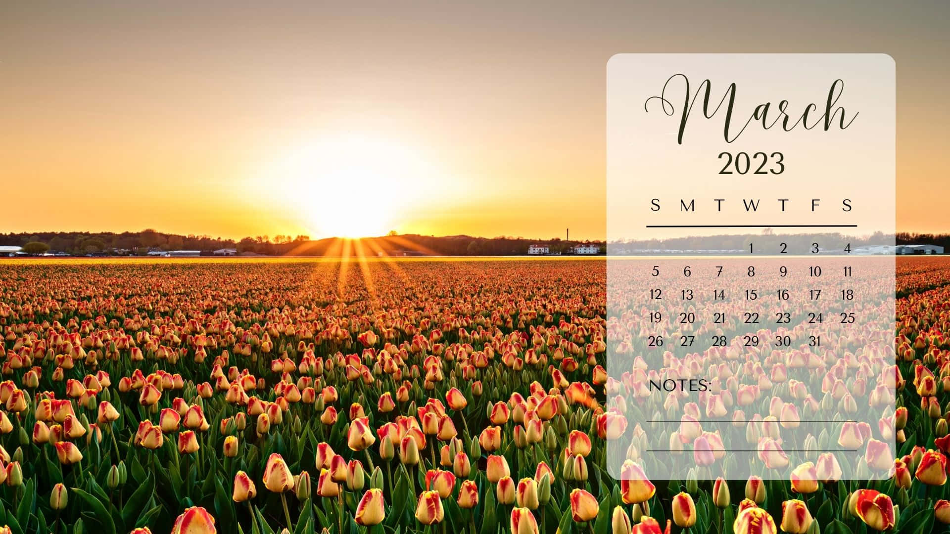 A Calendar With Tulips In The Background Wallpaper