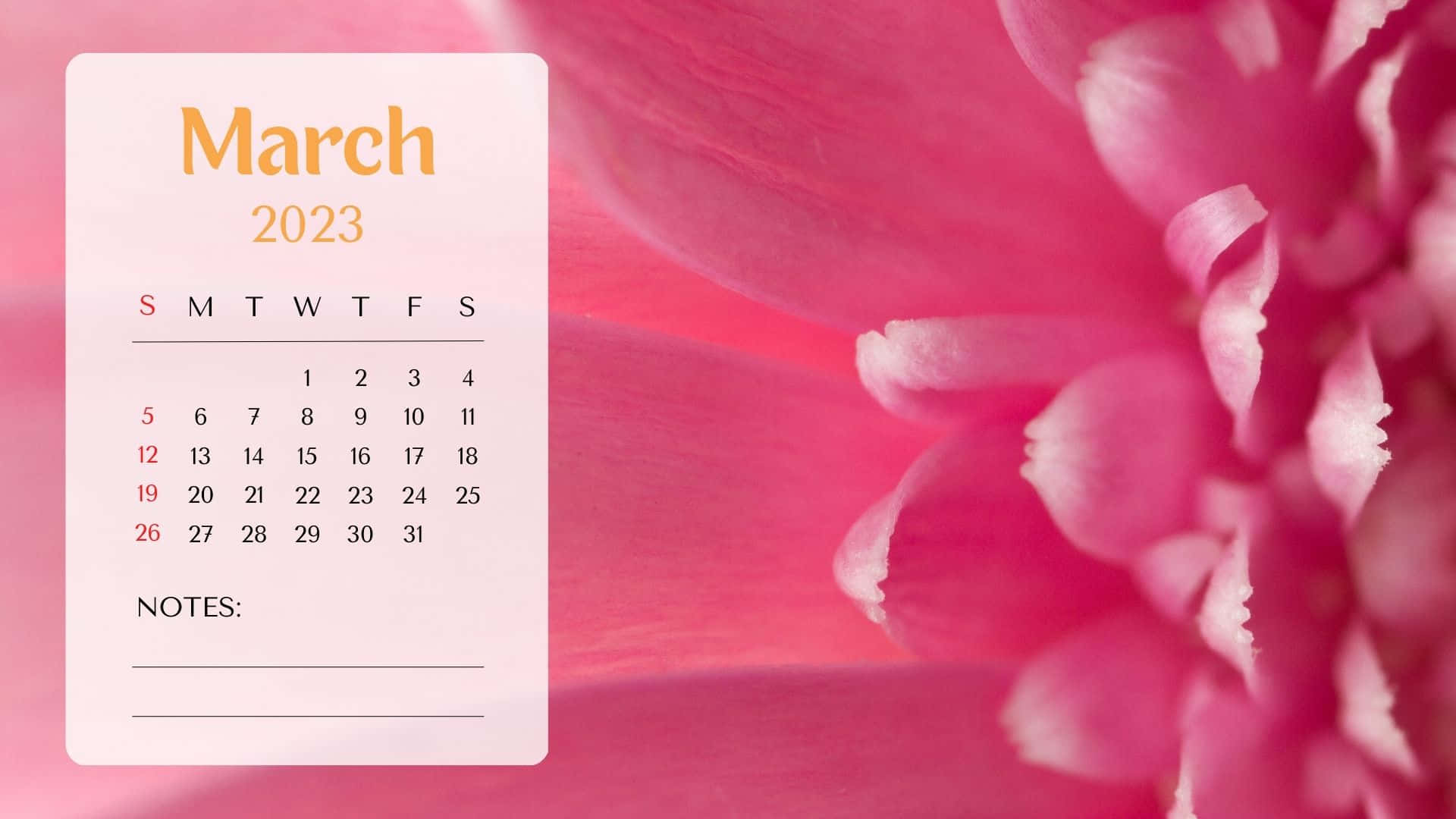 A Pink Flower Calendar With The Word March 2020 Wallpaper