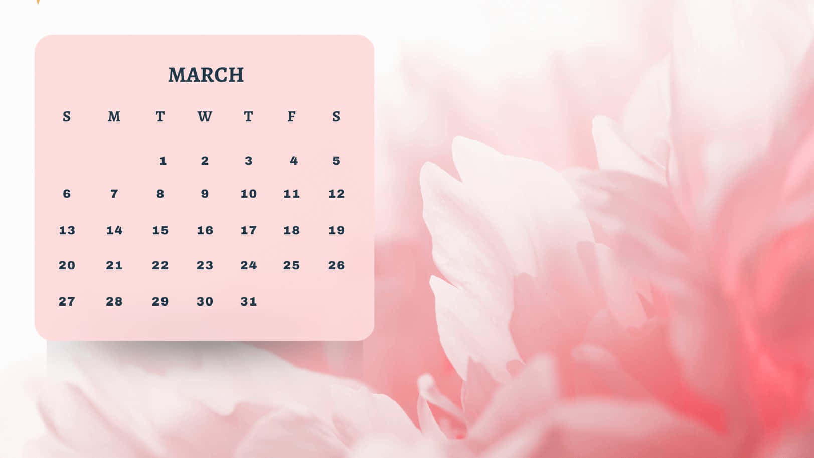 Welcome March; the month of new beginnings!
