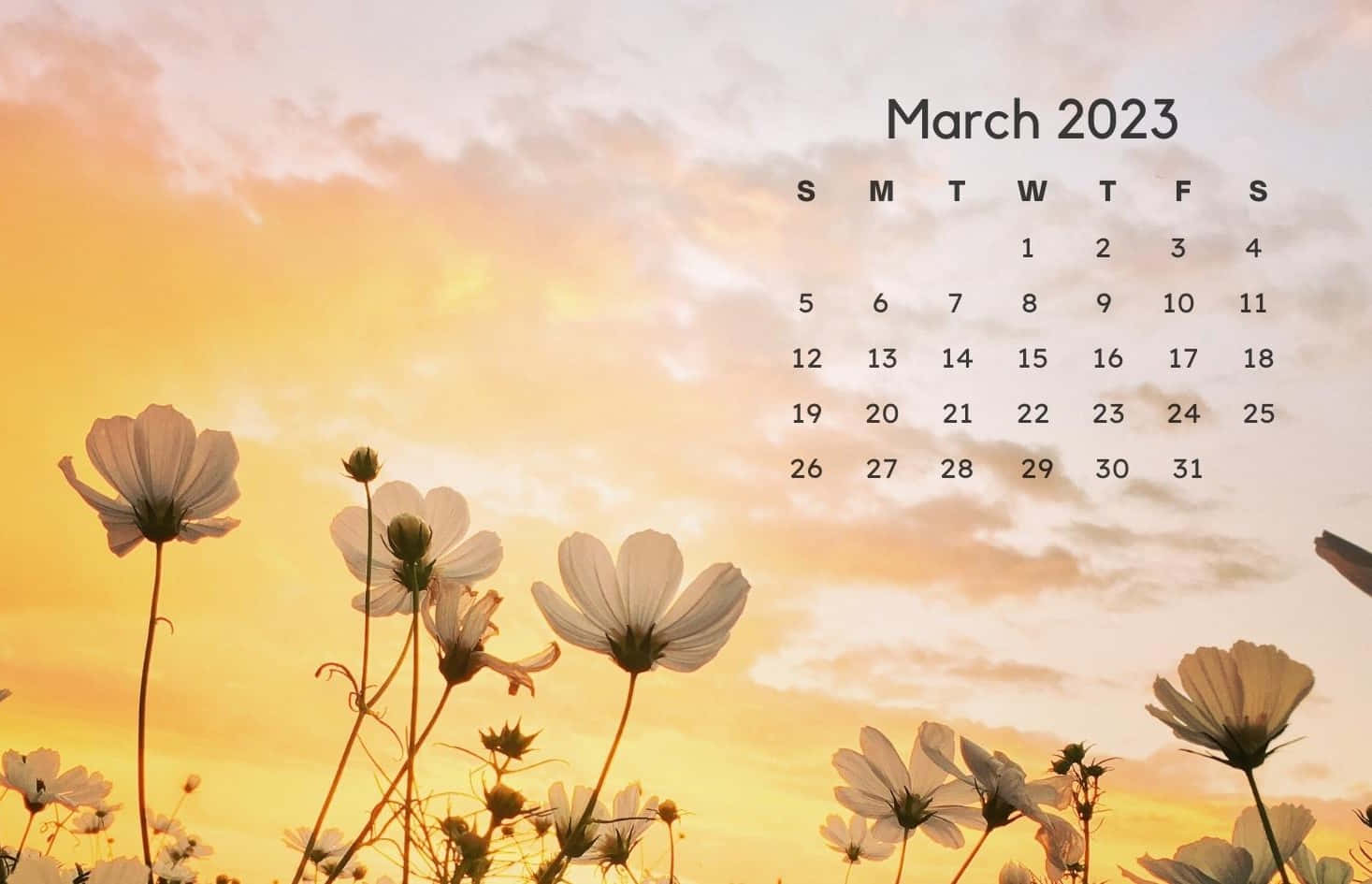 "Welcome to March - enjoy the beauty of spring's renewal"
