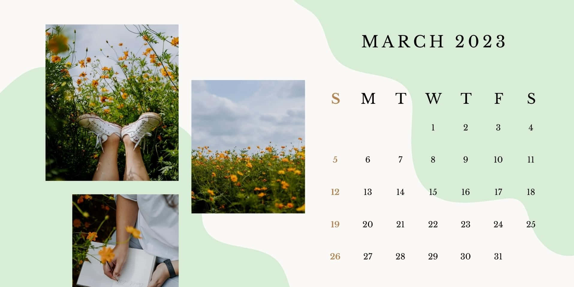 Enjoy the beauty of springtime with this gorgeous March background