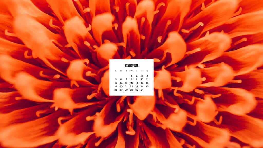 Flower your screen this March Wallpaper