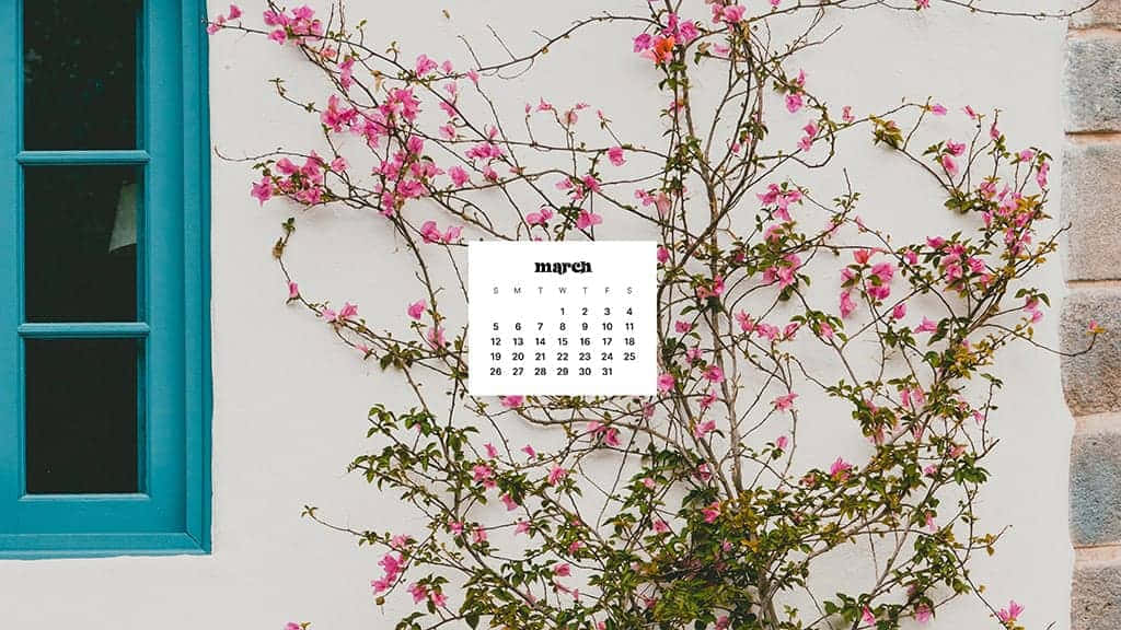 Beautifully Bloom Into Spring With this March Desktop Wallpaper Wallpaper