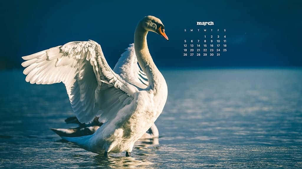 Bring a bit of Spring to your Desktop this March Wallpaper
