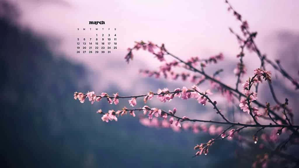 Celebrate the Arrival of March with this Desktop Background Wallpaper