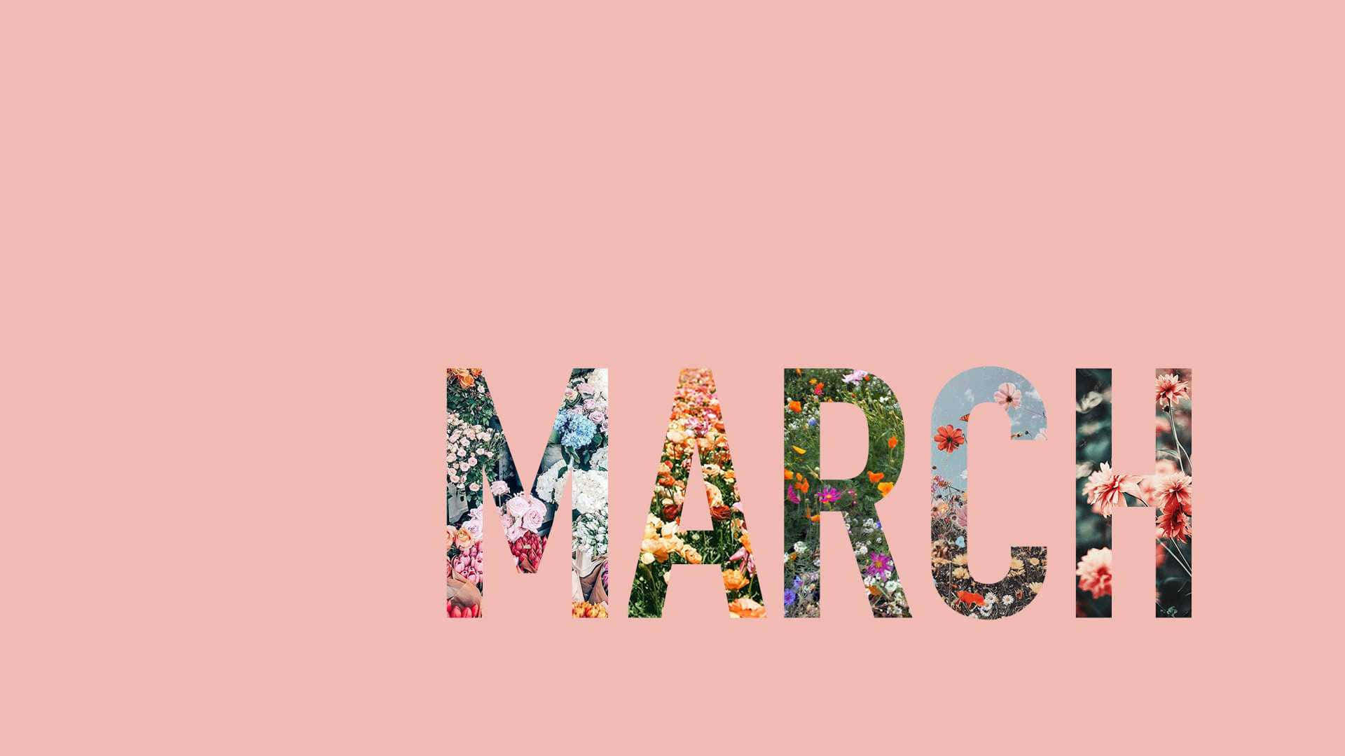 March Floral Aesthetic Background Wallpaper