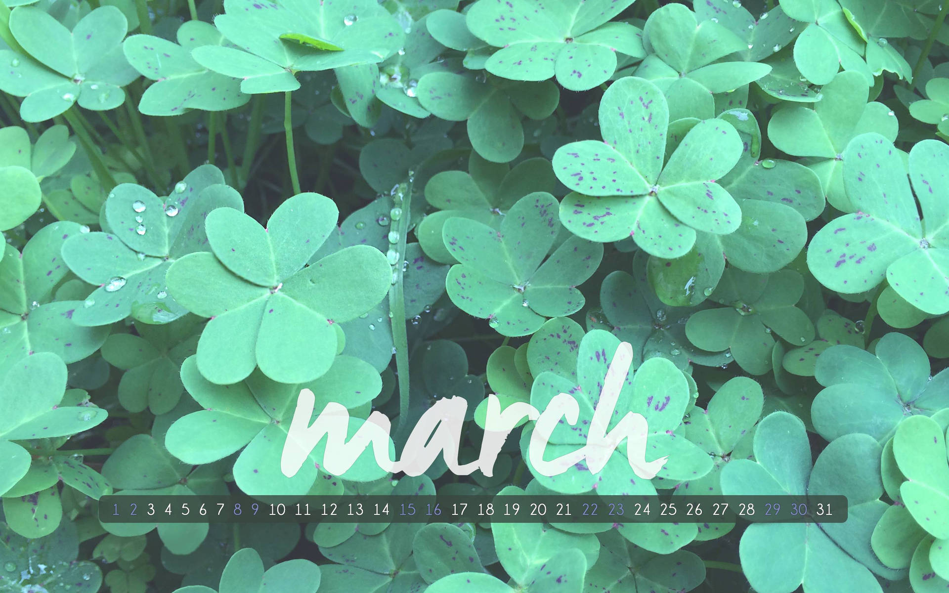March With Clover Leaves