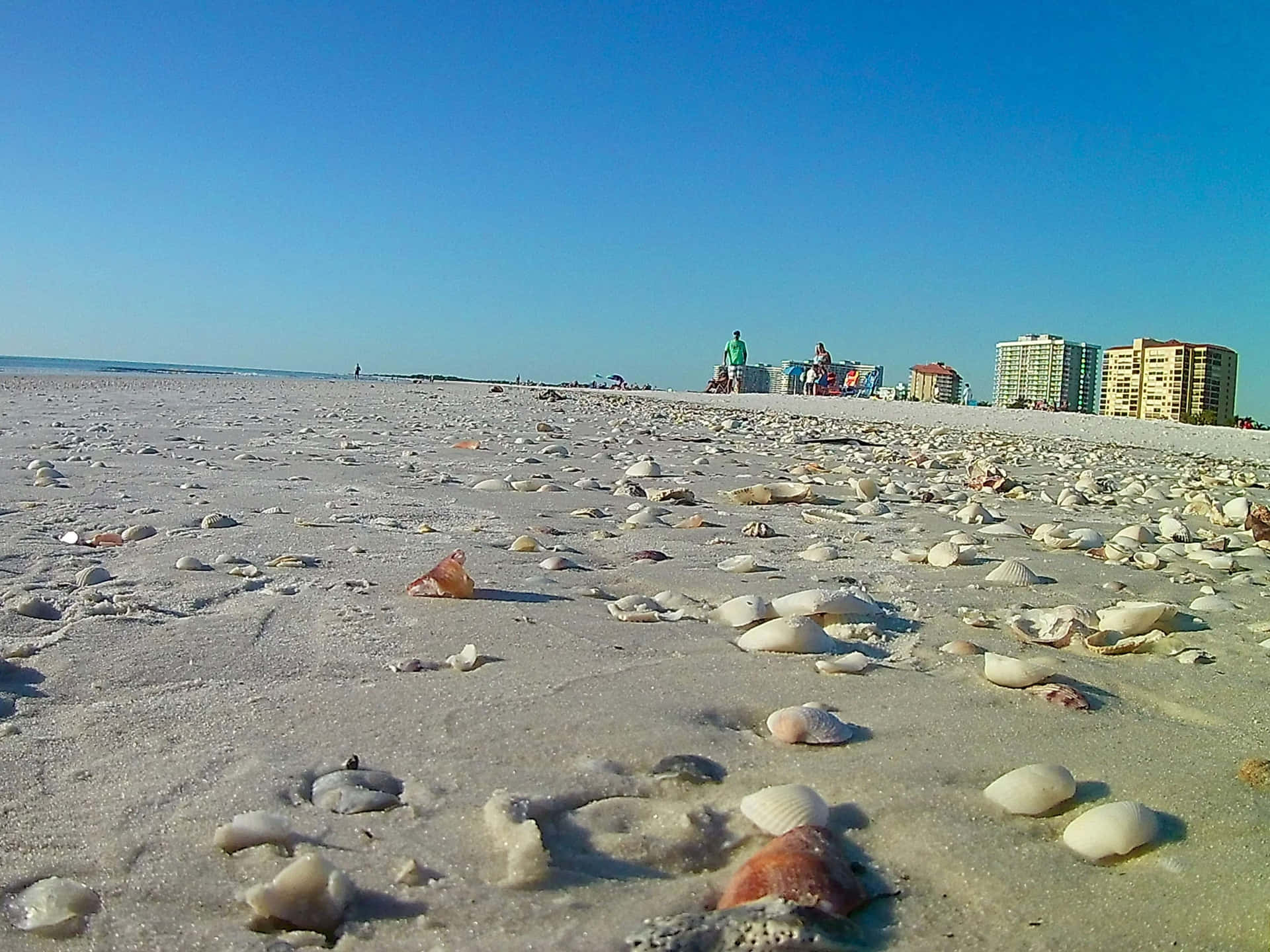 Bildutsökt Solnedgång Över Marco Island