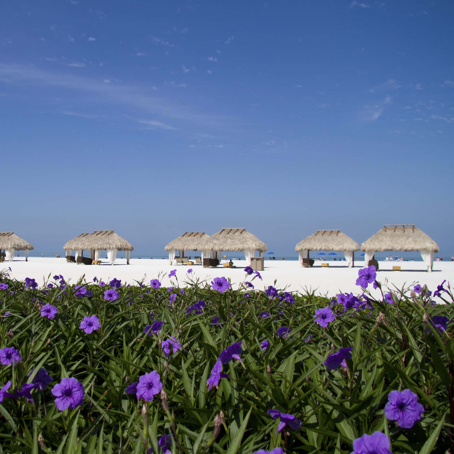 Njutav En Lugn Solnedgång På Marco Island-stranden.