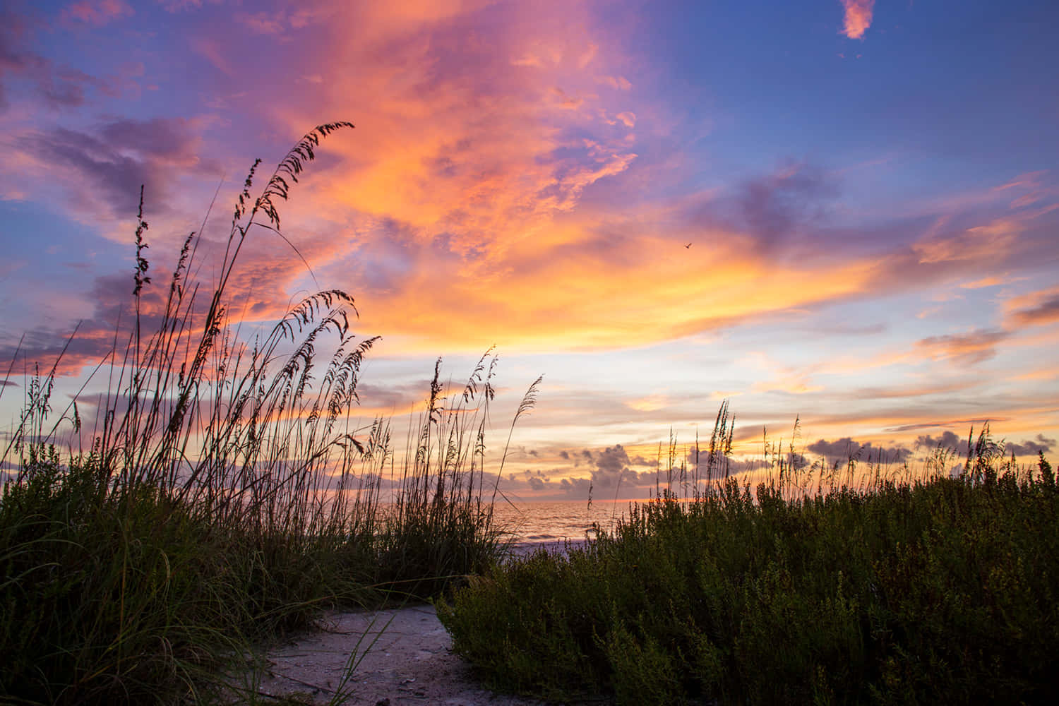 Dazzling sunsets at Marco Island
