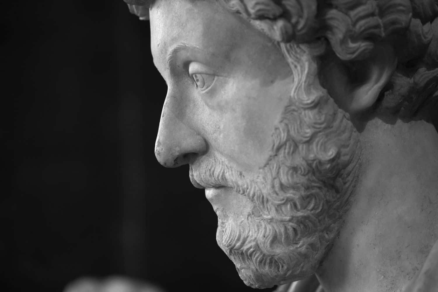 Marcus Aurelius Bust Profile Wallpaper
