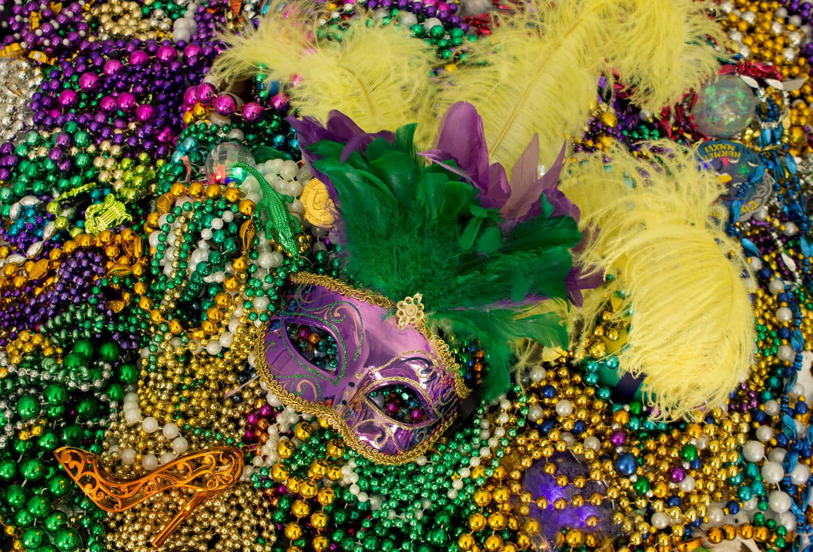 Mardi Gras Beads And Feathers
