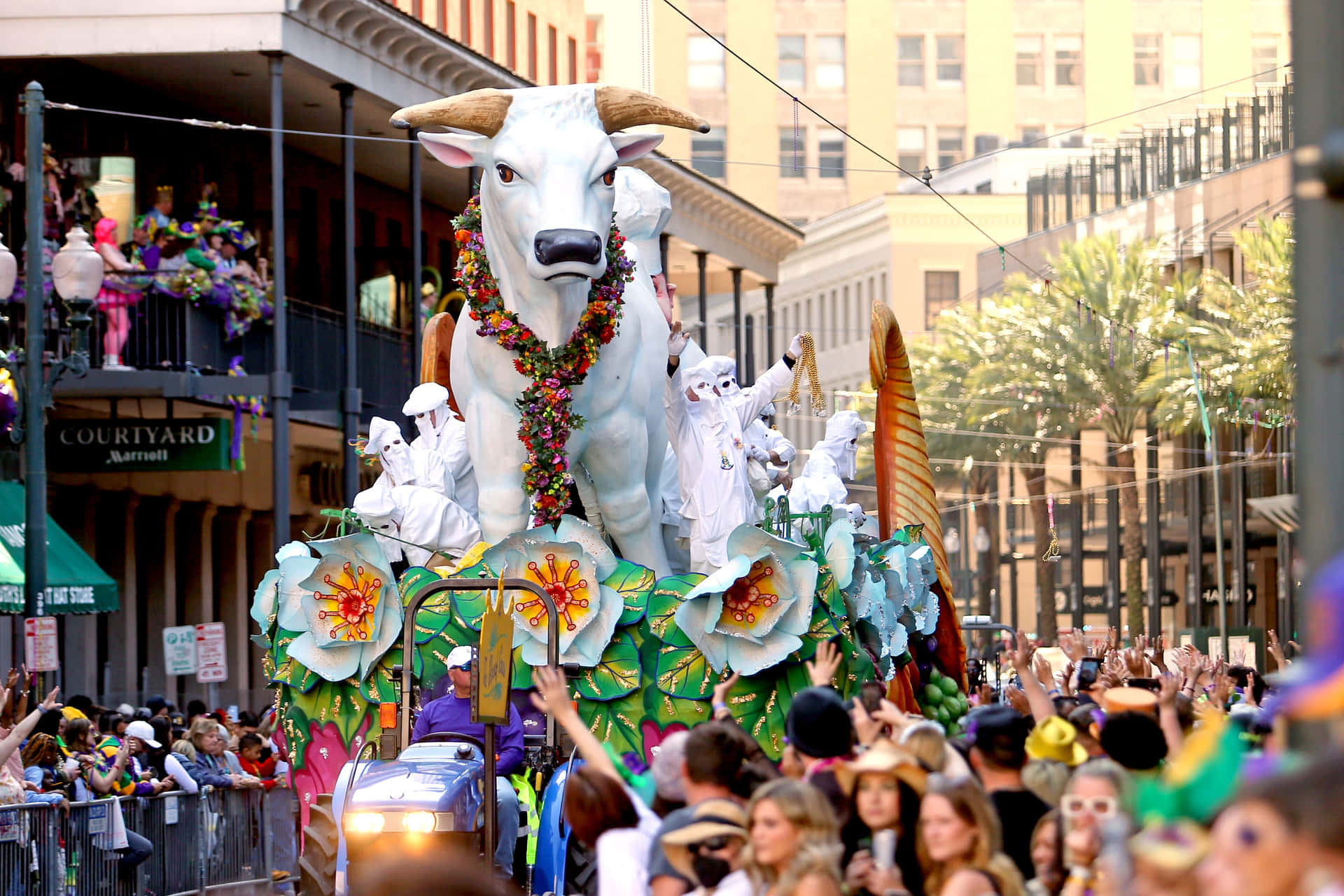 Welcome to the festive world of Mardi Gras!