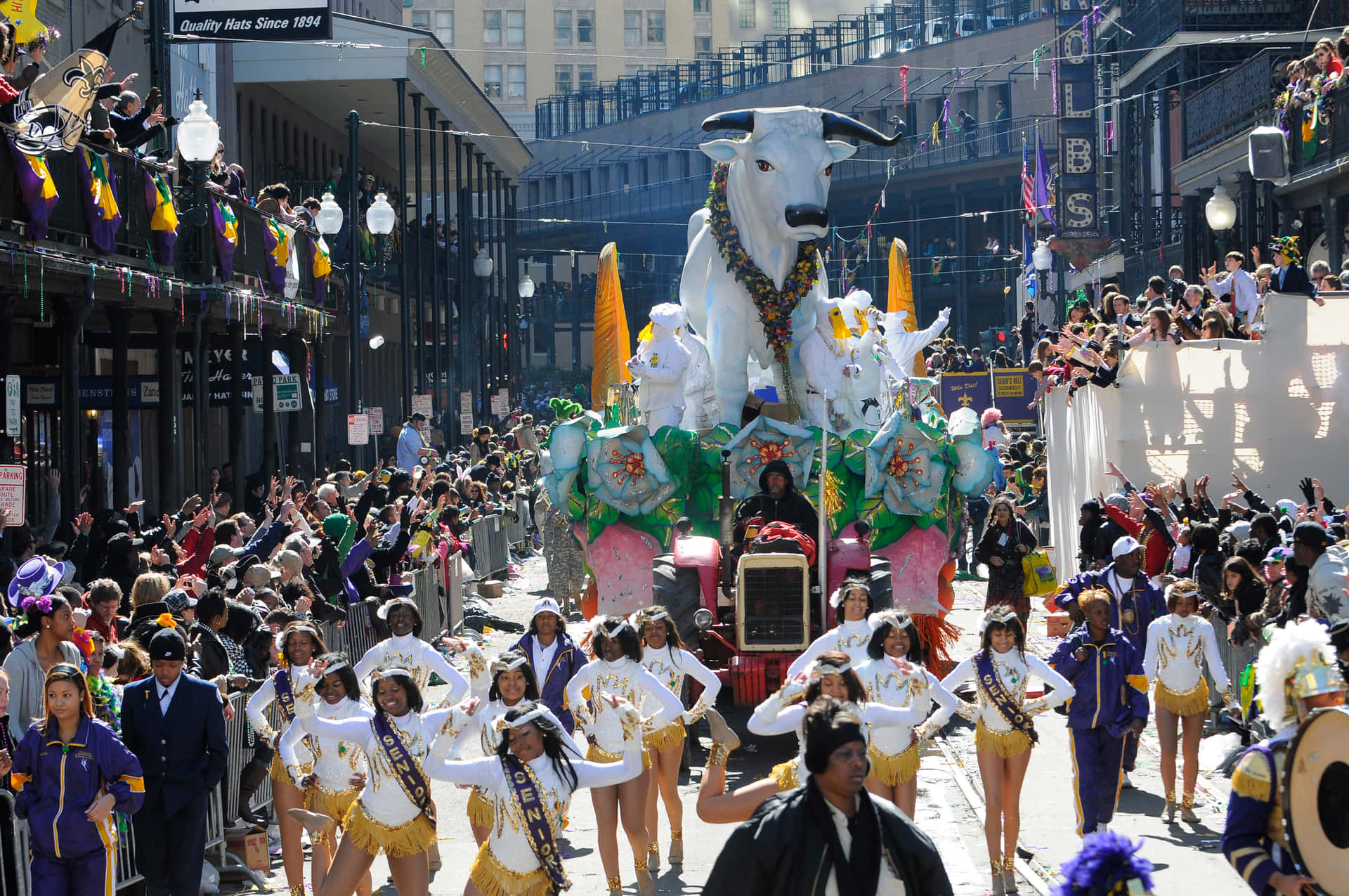 Feiernsie Mardi Gras Stilvoll Mit Traditionellen Dekorationen Und Bunten Perlen!