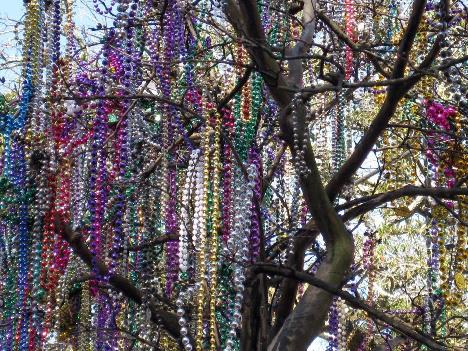 Mardigras Perlen Design Auf Einem Baum Wallpaper