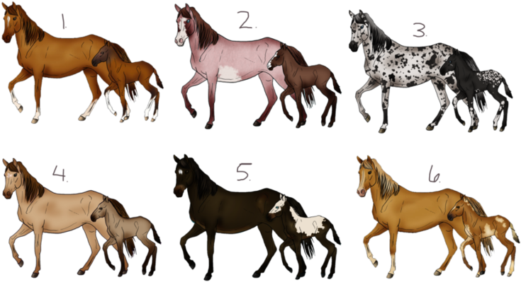 Mare_and_ Foal_ Varieties PNG