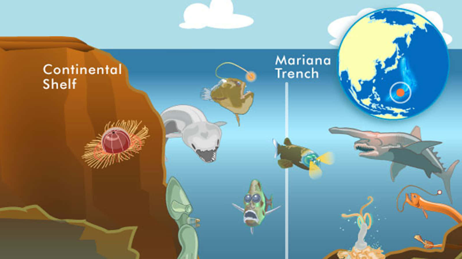 An Illustration Of A Continental Trench And A Sea Creature
