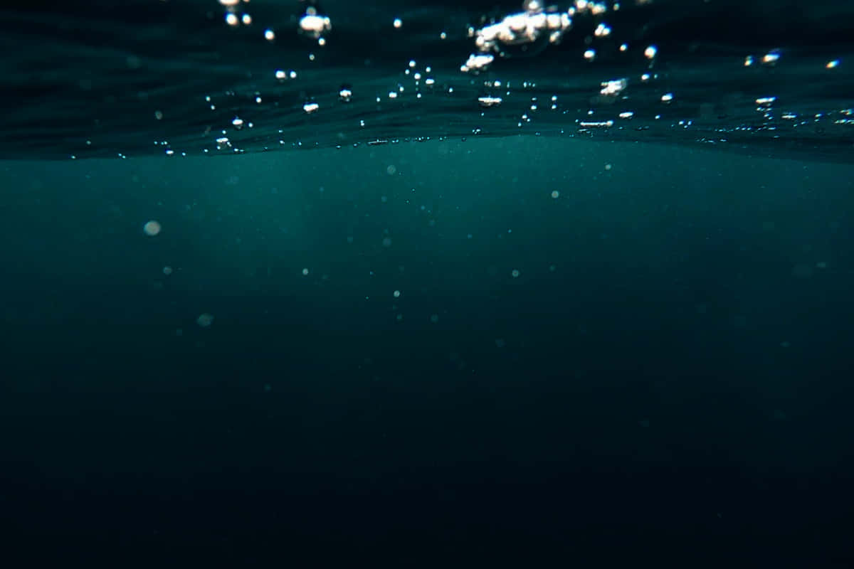 Underwater Water Surface Stock Photos And Royalty Free Images