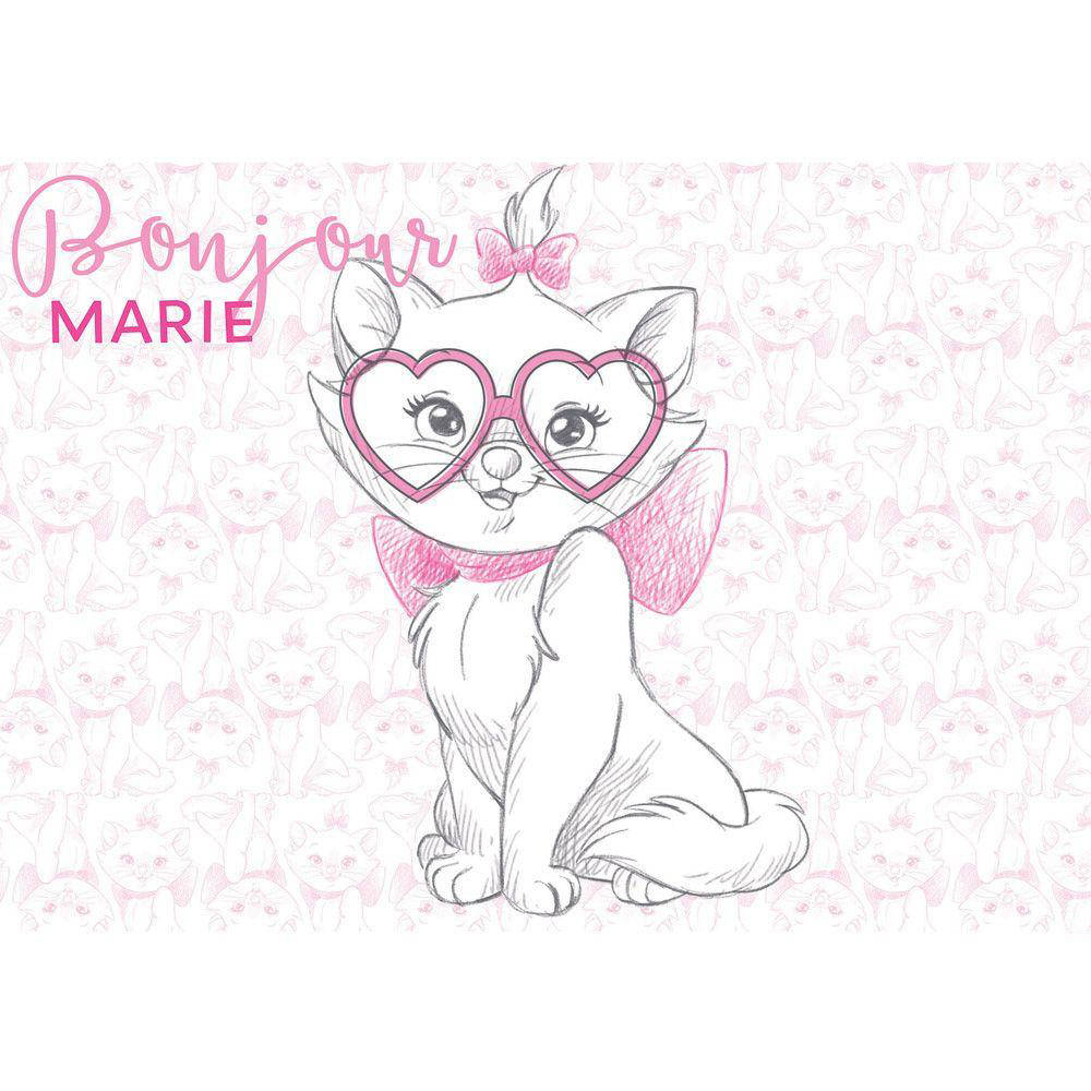 Marie Cat Bonjour Wallpaper