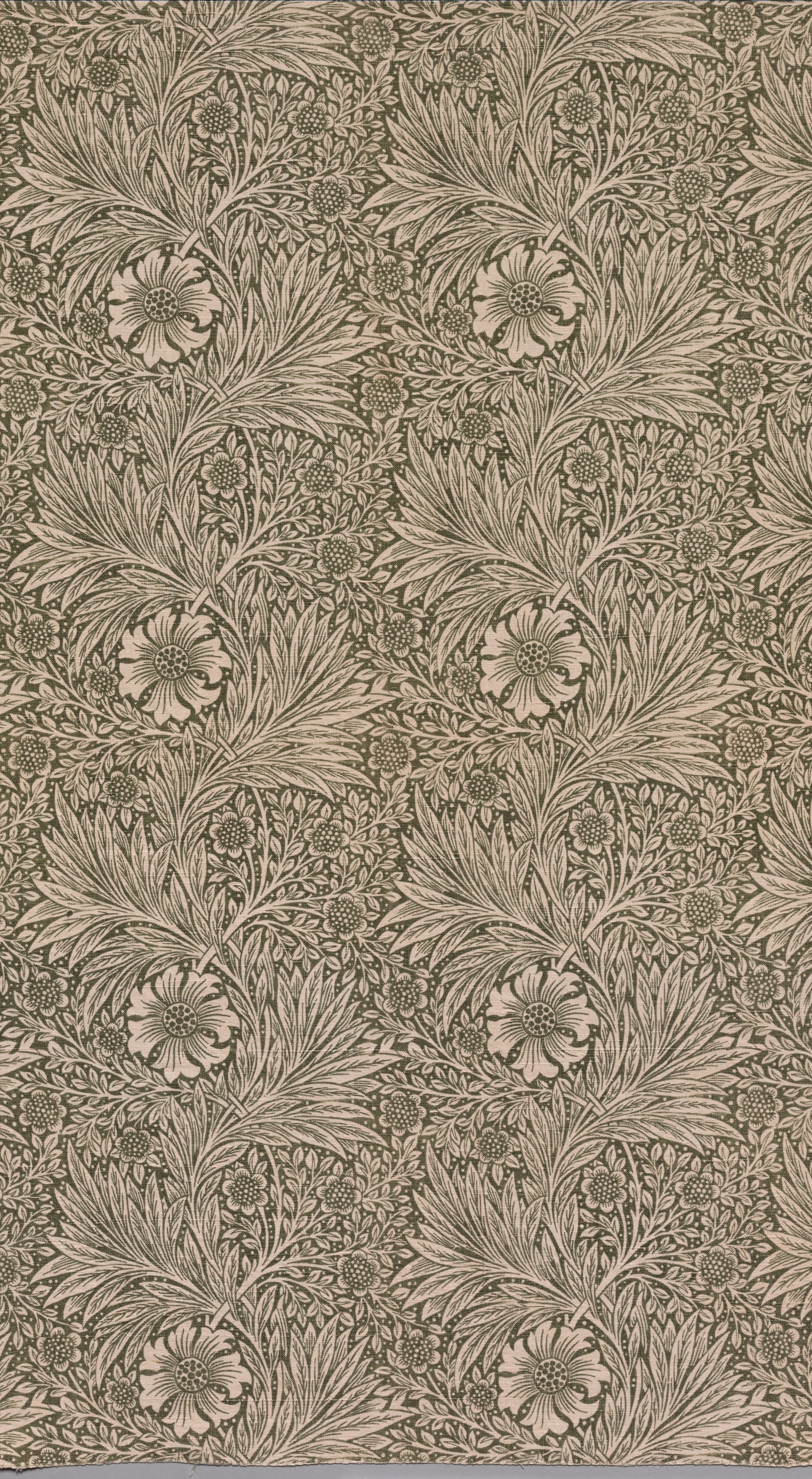 Marigold Wallpaper