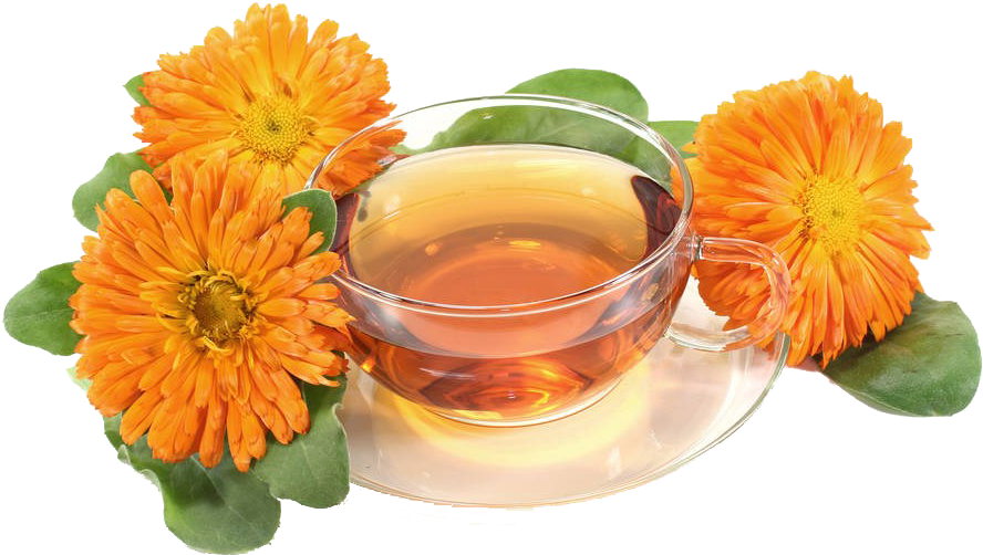 Marigold Tea Transparent Background PNG