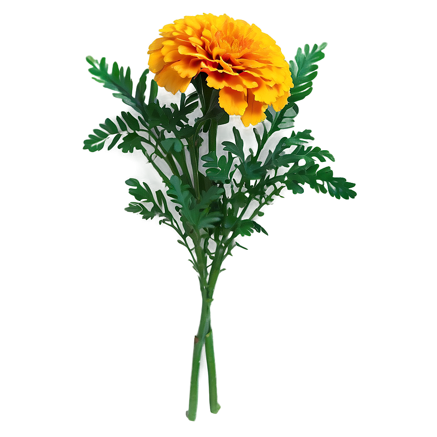 Marigolds Floral Arrangement Png 06132024 PNG