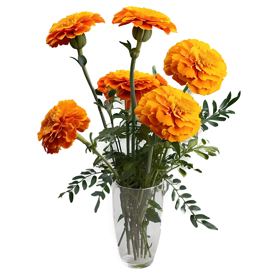 Marigolds Floral Arrangement Png Qyg22 PNG