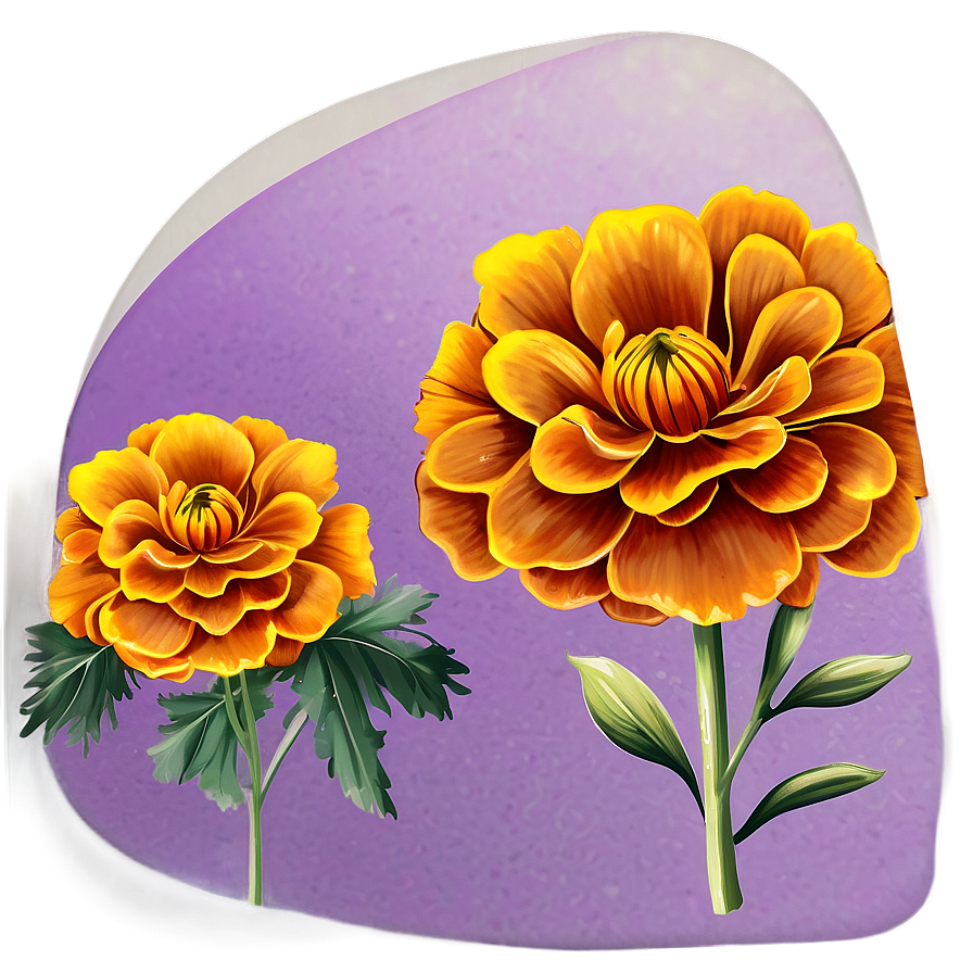 Marigolds Greeting Card Png Orw31 PNG