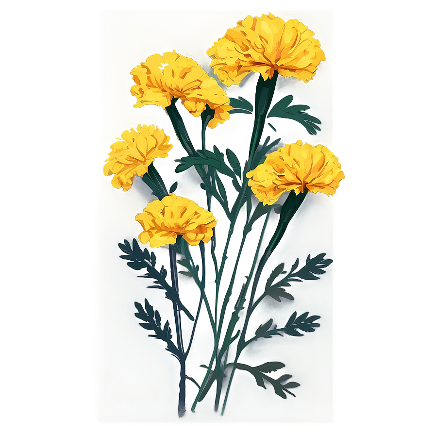 Marigolds Greeting Card Png Peu PNG