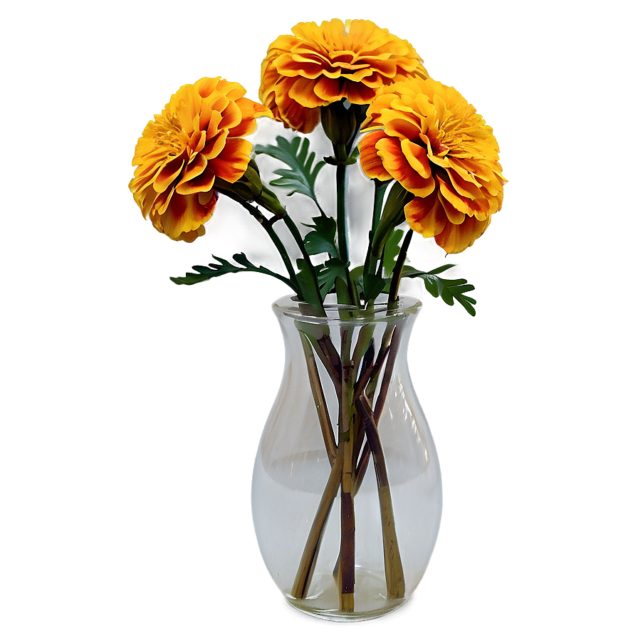 Marigolds In Vase Png 83 PNG