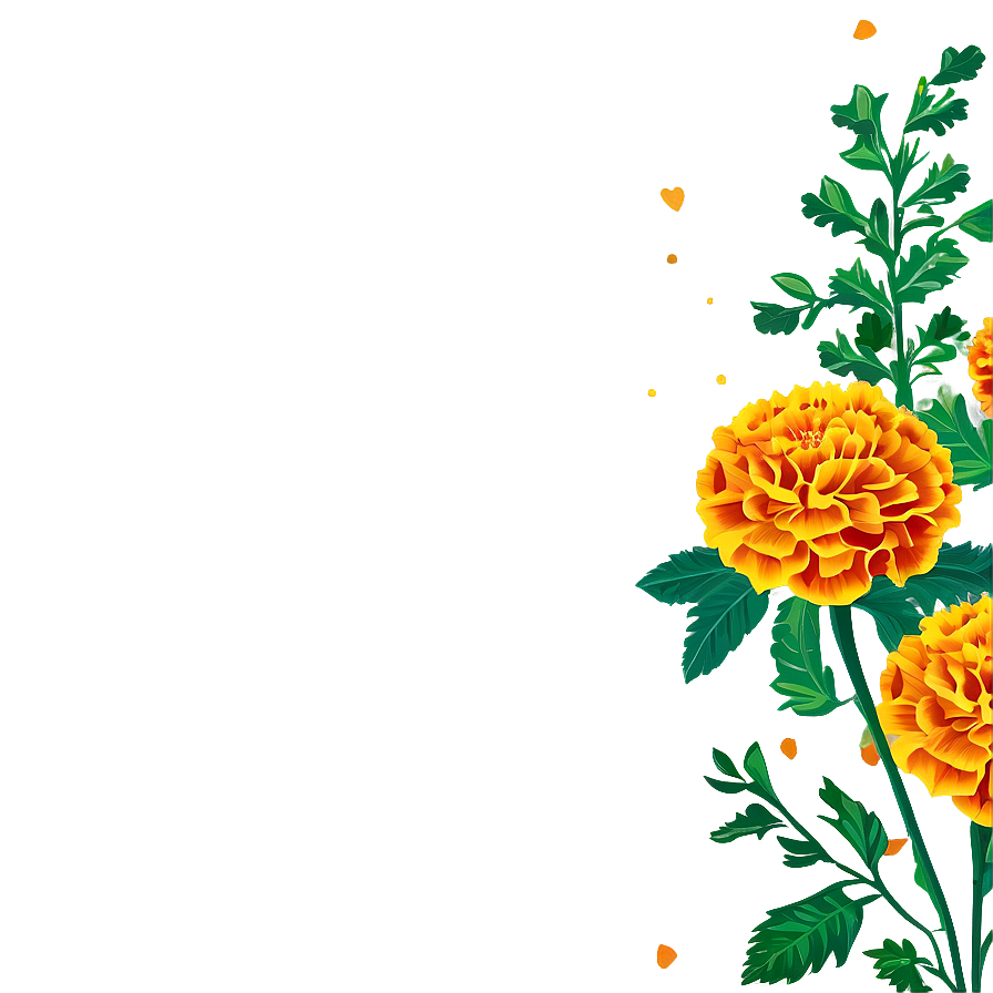 Marigolds Vector Art Png Pvg PNG