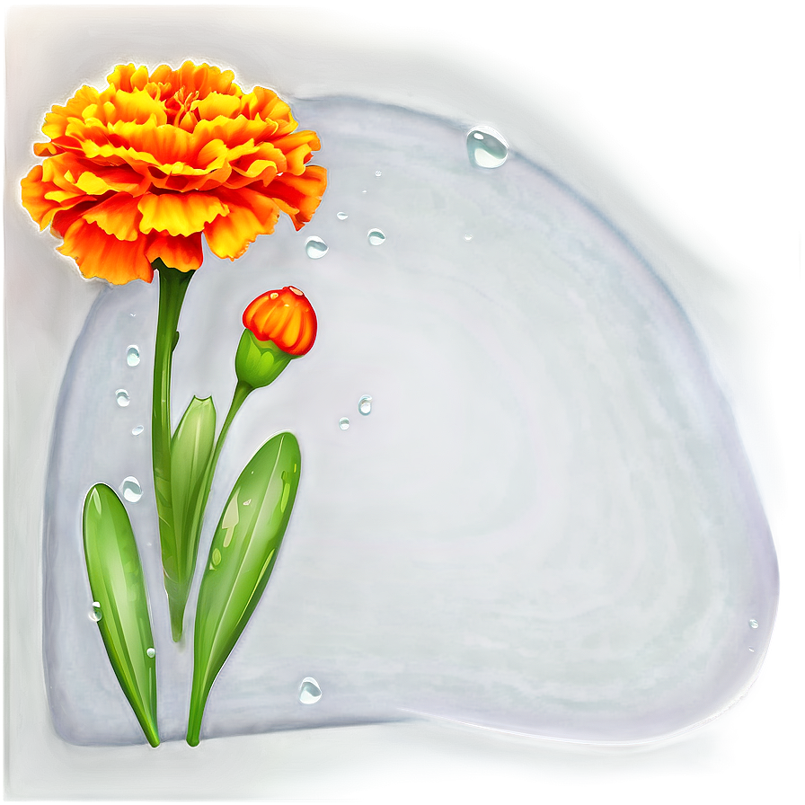 Marigolds With Dew Drops Png Esp PNG