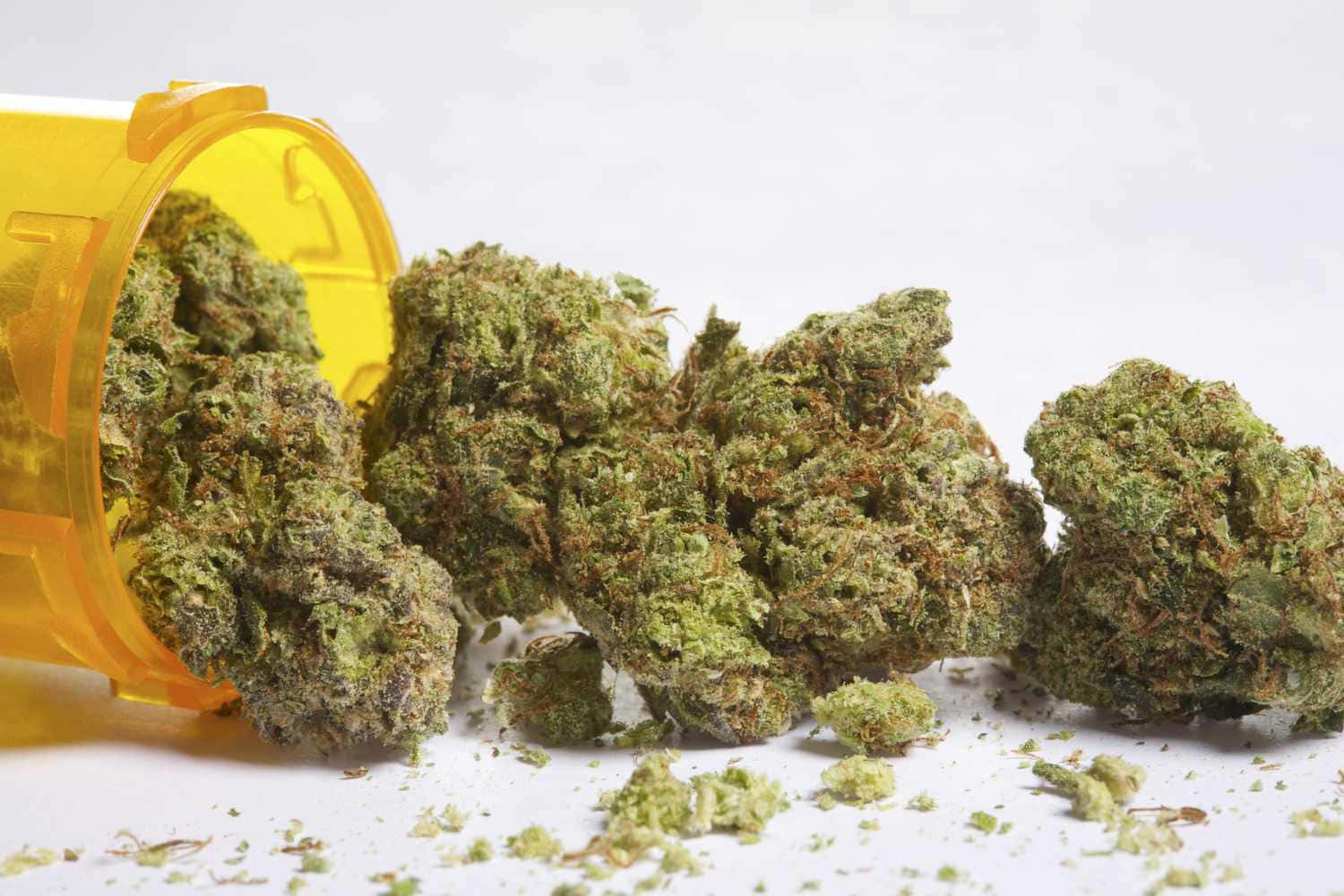 Caption: Vibrant Marijuana Plant in Full Bloom