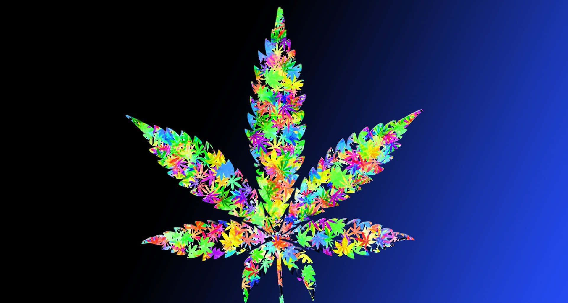 Vibrant Marijuana Plant Close-up