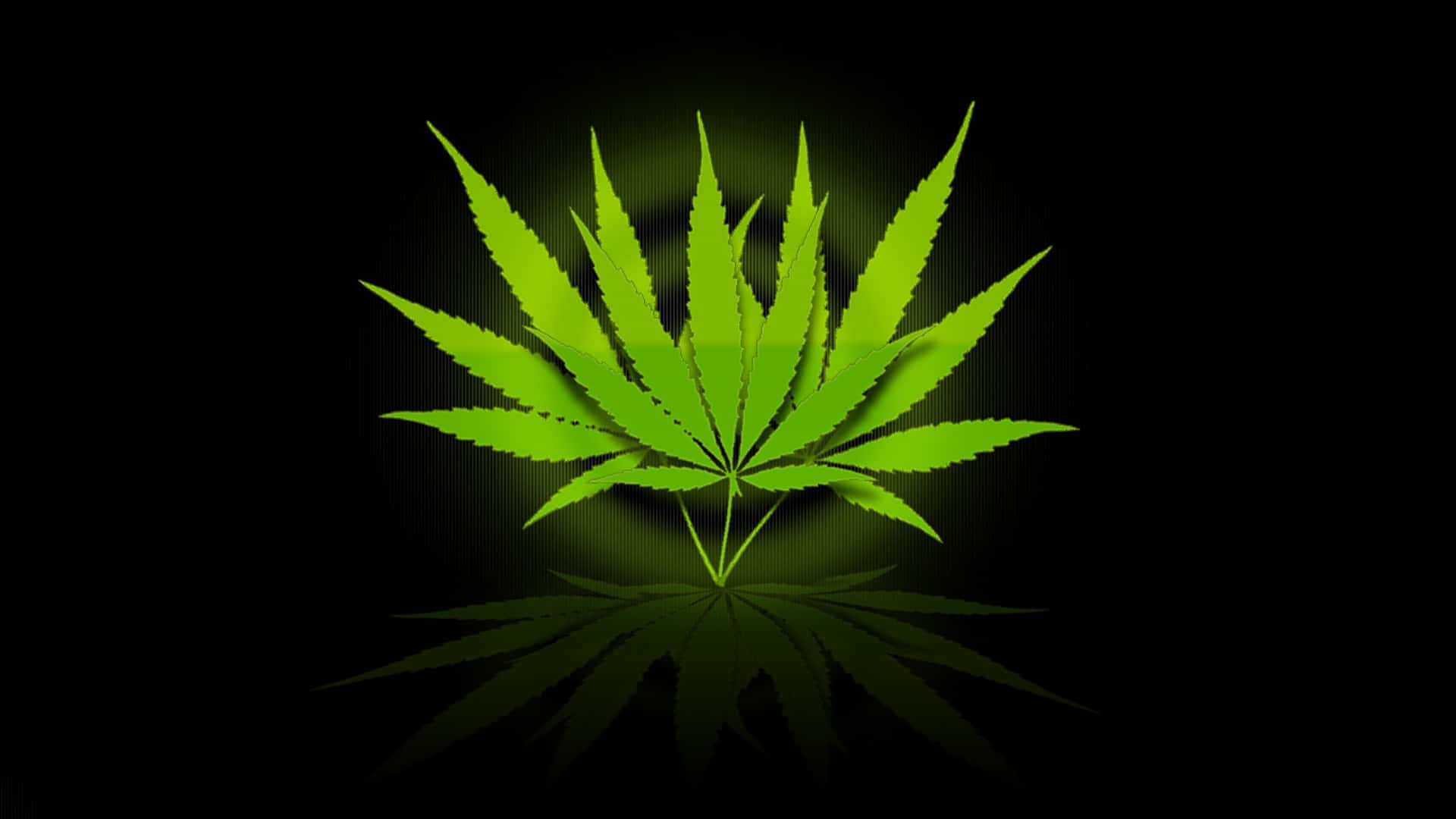 Marihuanablatt Mit Kreisring Wallpaper