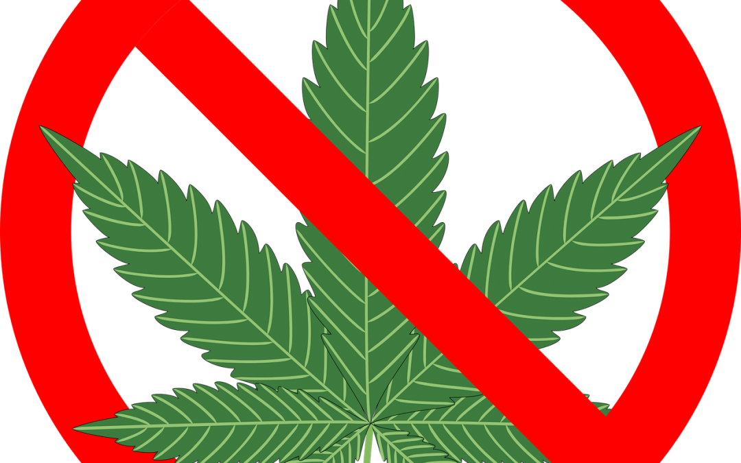 Marijuana Prohibition Sign PNG