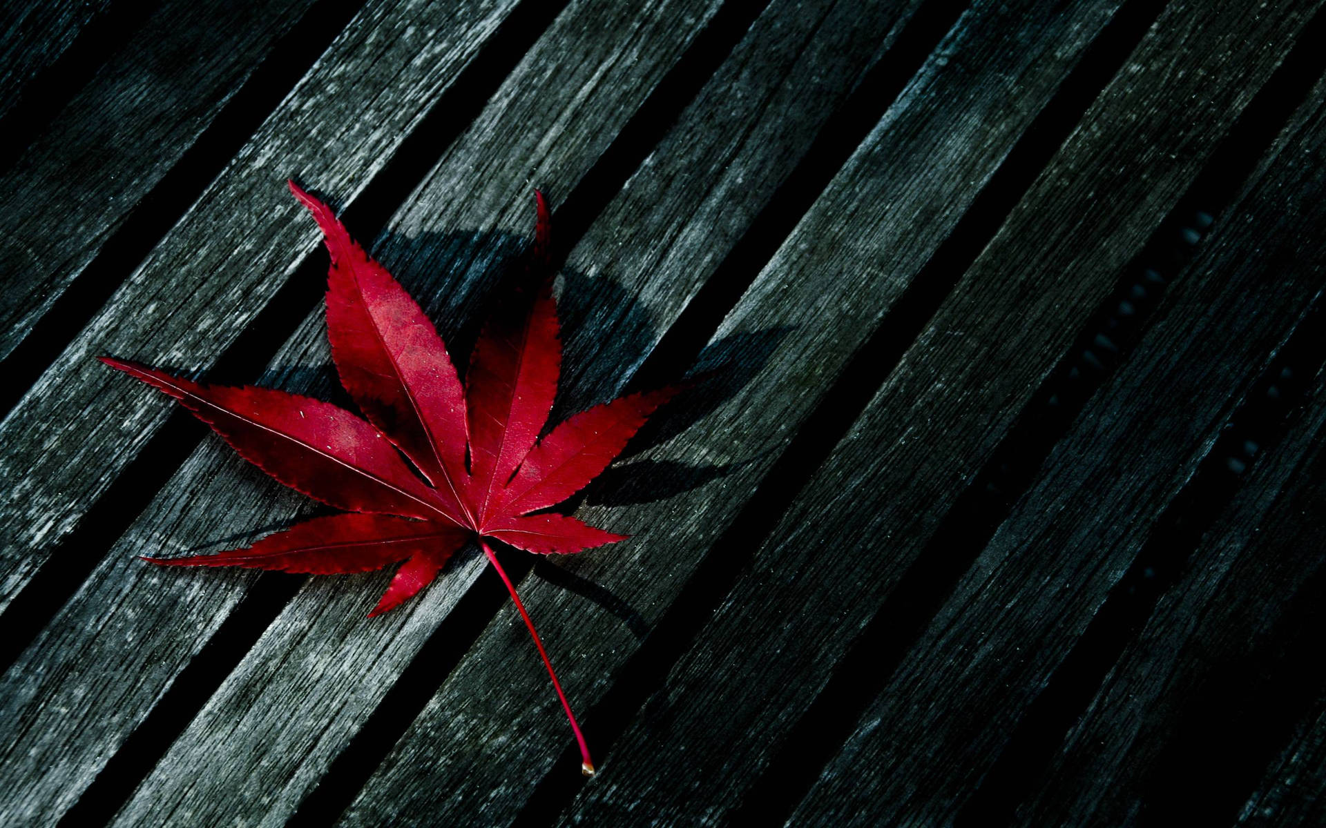 Marijuana Red Leaf On Wood Wallpaper
