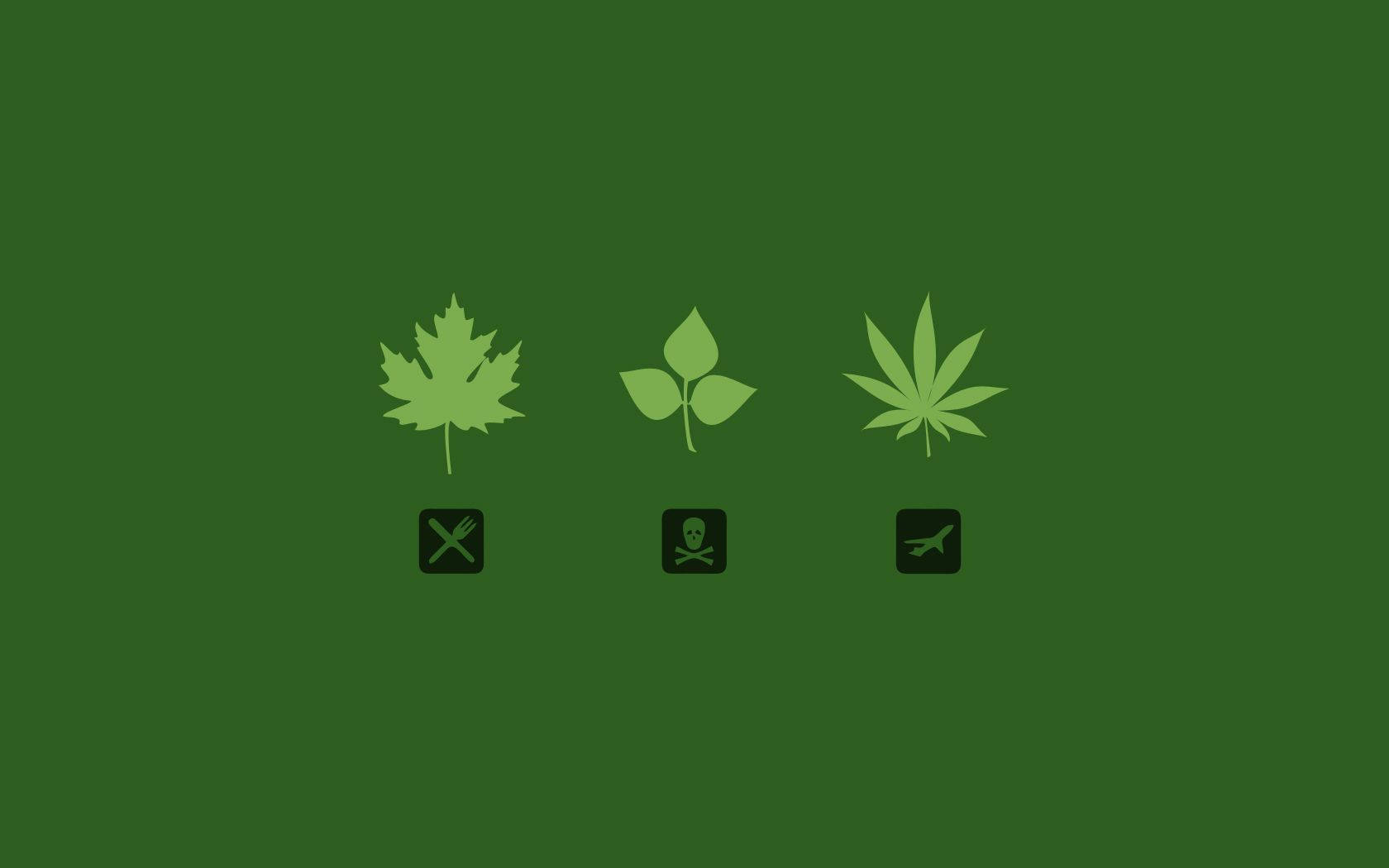 Marijuana Vector Artwork Wallpaper