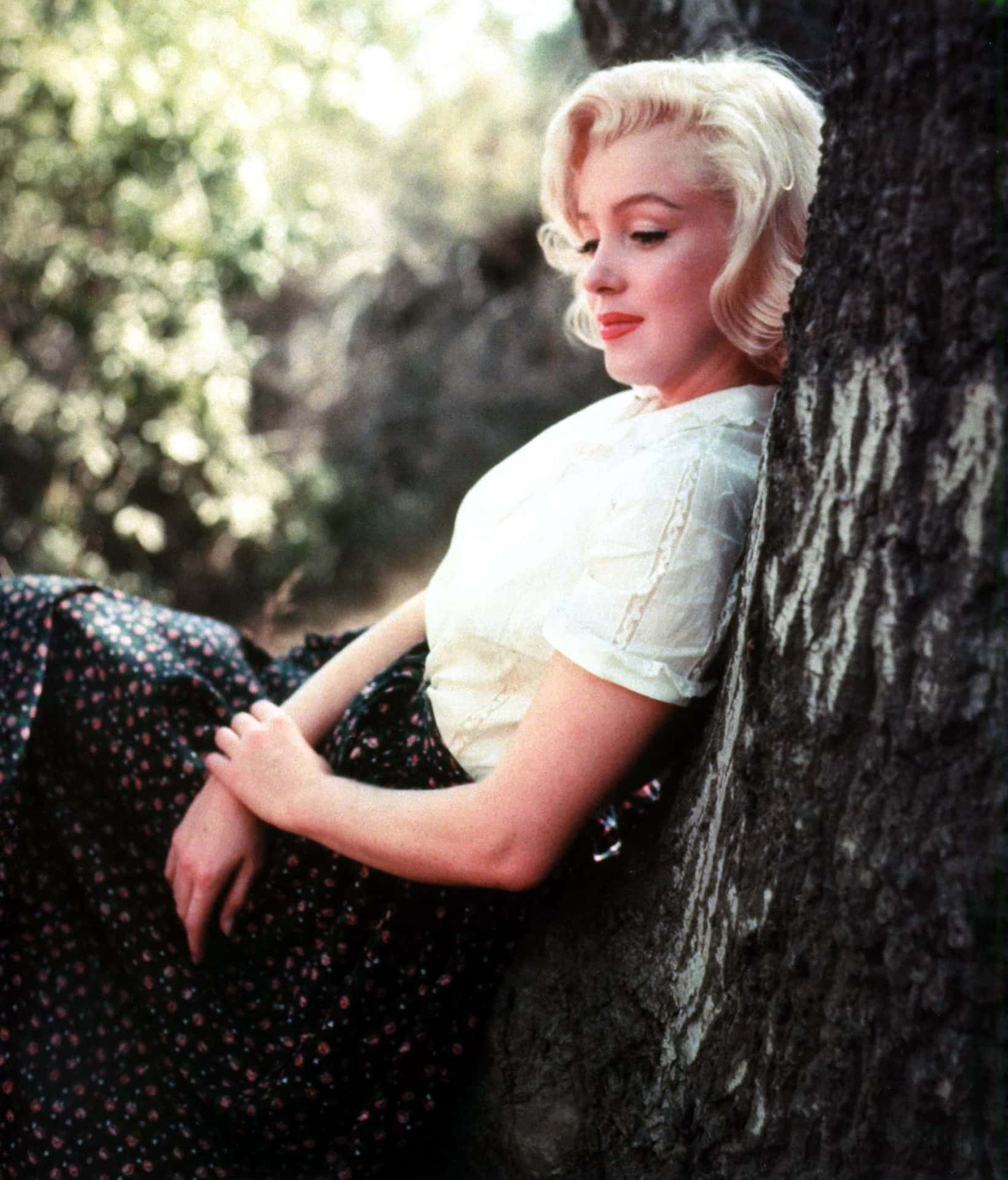 Dieikonische Marilyn Monroe In All Ihrer Strahlenden Pracht