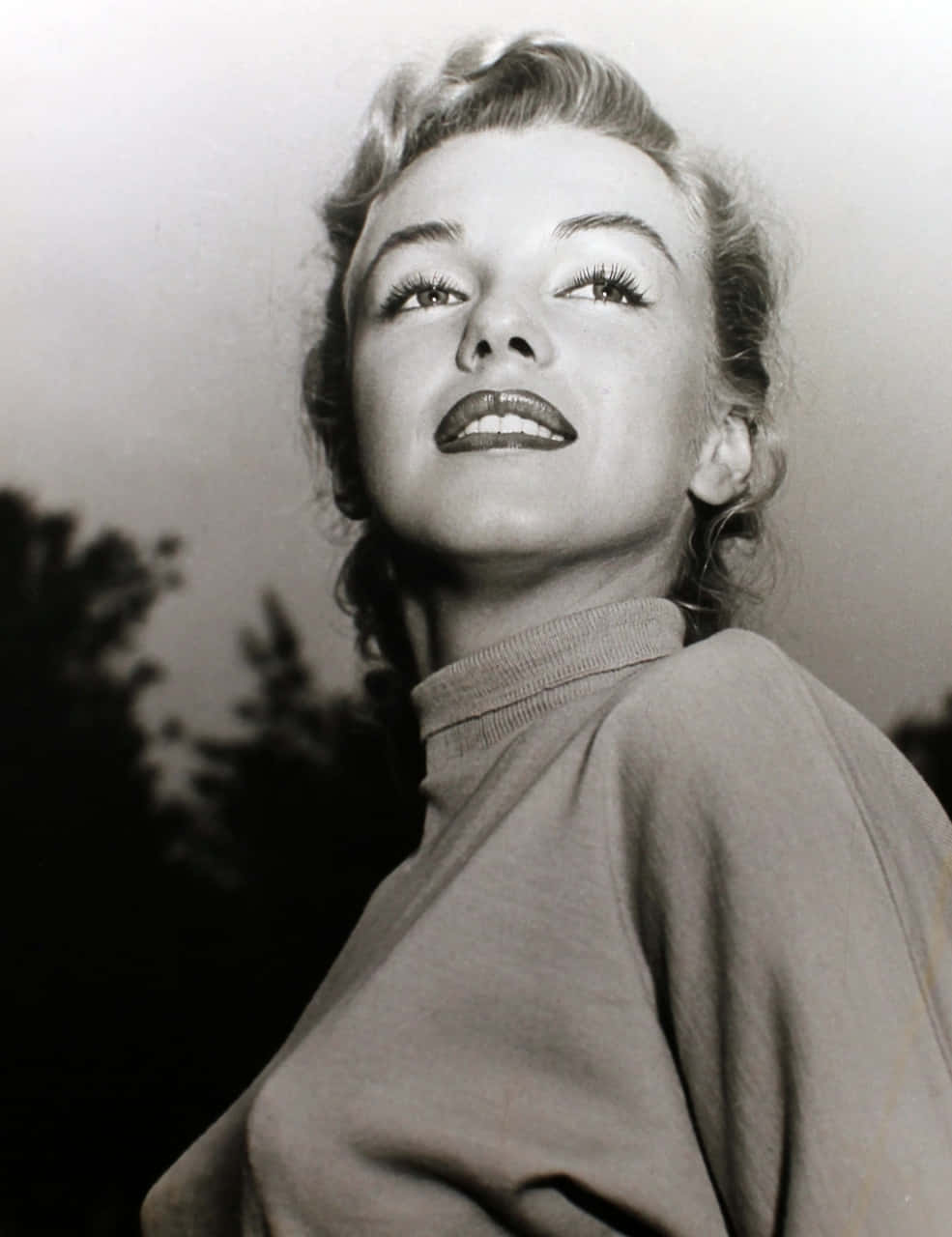 Marilyn Monroe shines in the spotlight