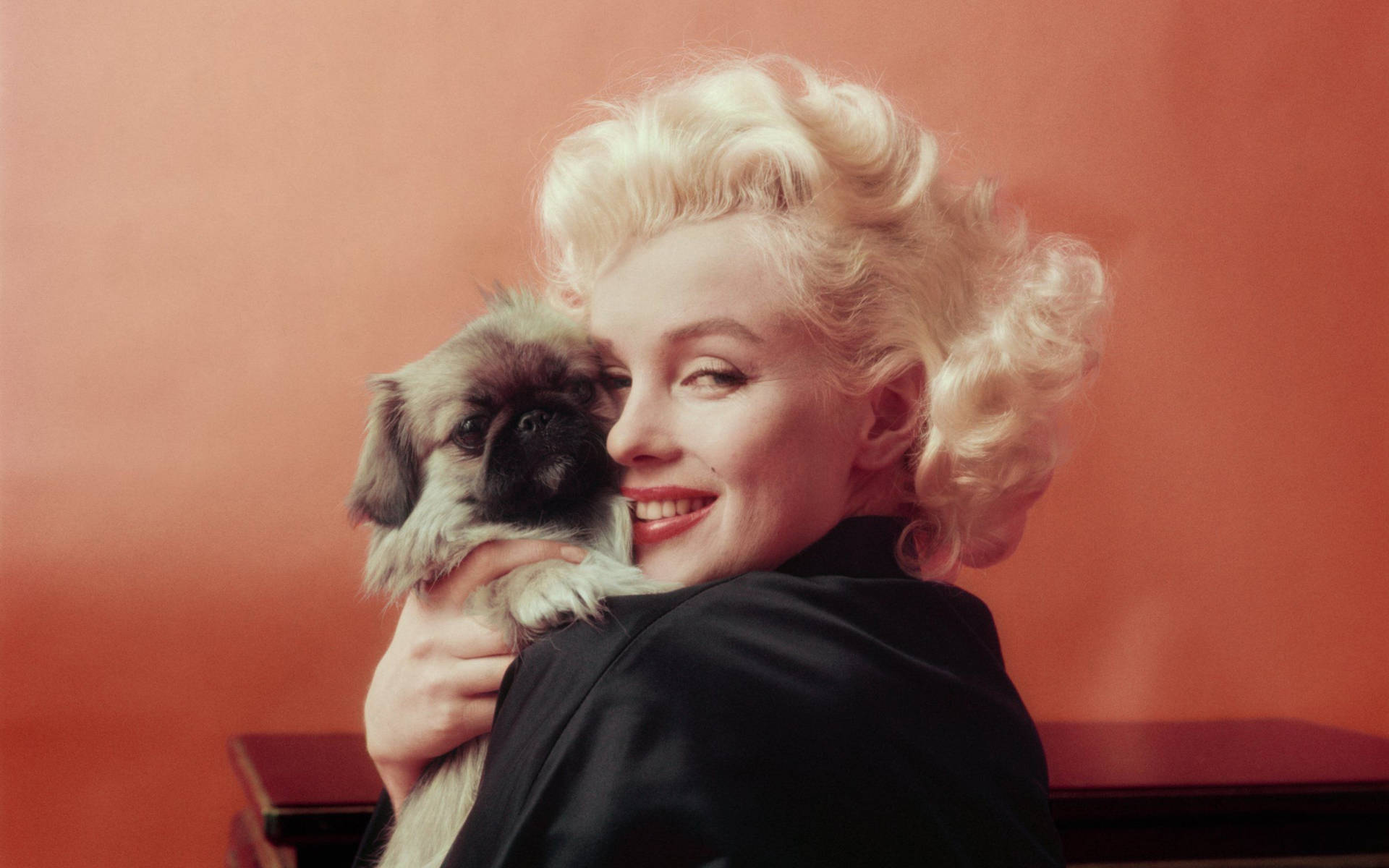 Marilyn Monroe med lille hund, der smiler tapet Wallpaper